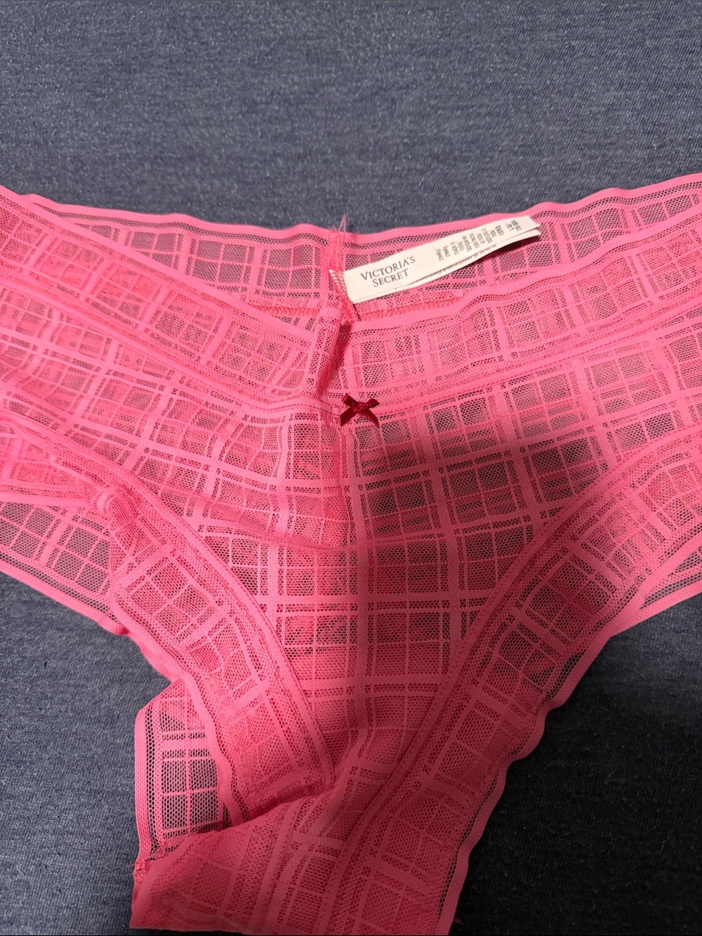 Victoria's Secret Pink Sheer Lace Hipster